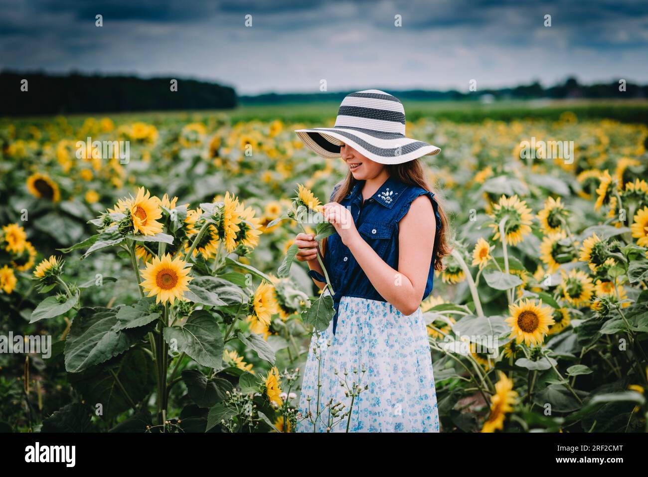 Ein Mädchen mit einem Strohhut im Sonnenblumenfeld in Ohio Stockfoto