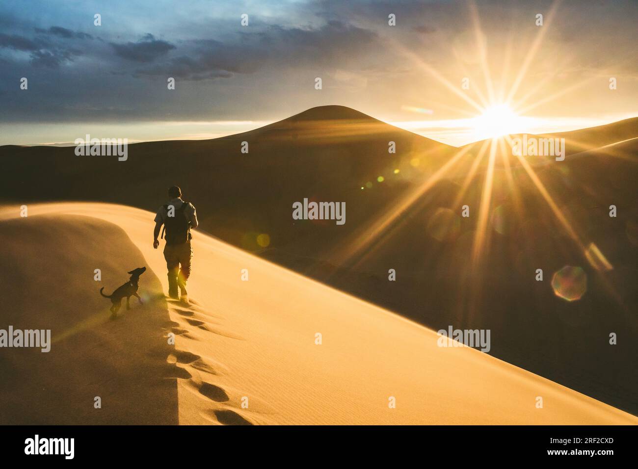 Wanderer und sein Hund klettern bei Sonnenuntergang an einem windigen Abend auf eine Sanddüne Stockfoto