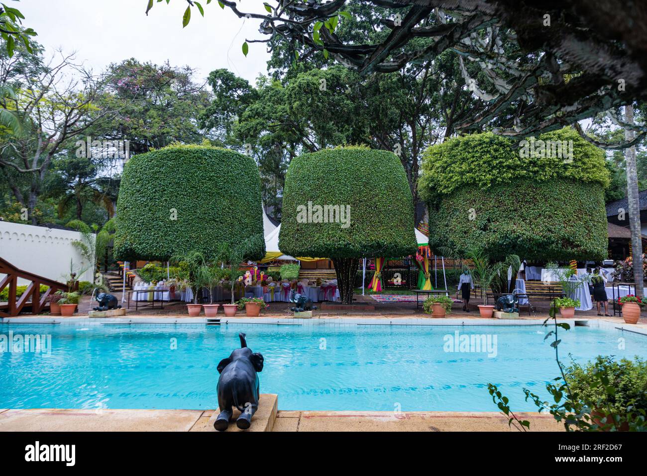 Antony Trivet Hochzeiten Indisch-asiatisch-hinduistische Hochzeiten Fotograf im Kenya Landscapes Safari Park Hotel Wedding Venue Gardens wunderschöne atemberaubende Hochzeit Stockfoto