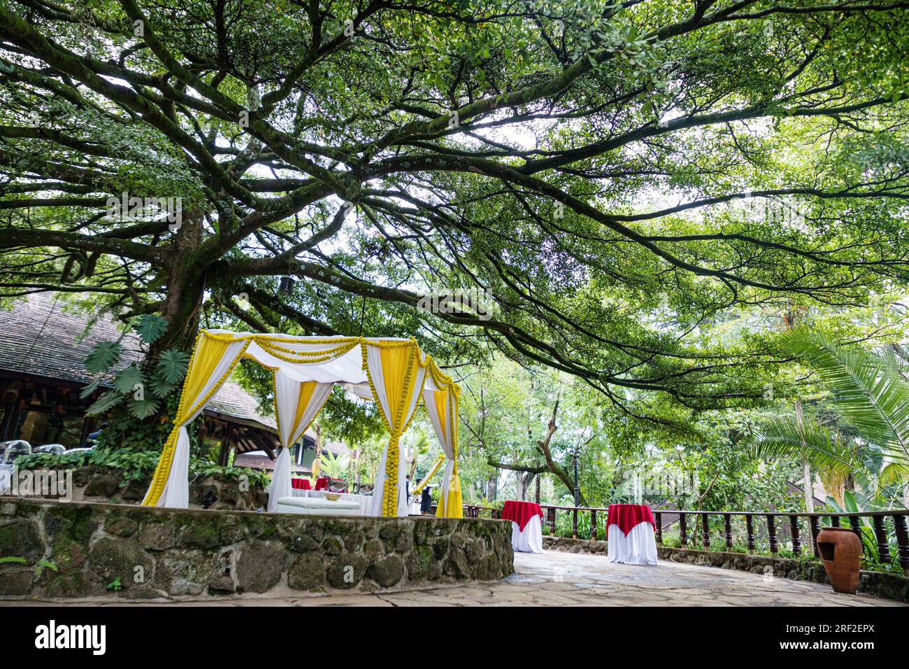 Antony Trivet Hochzeiten Indisch-asiatisch-hinduistische Hochzeiten Fotograf im Kenya Landscapes Safari Park Hotel Wedding Venue Gardens wunderschöne atemberaubende Hochzeit Stockfoto