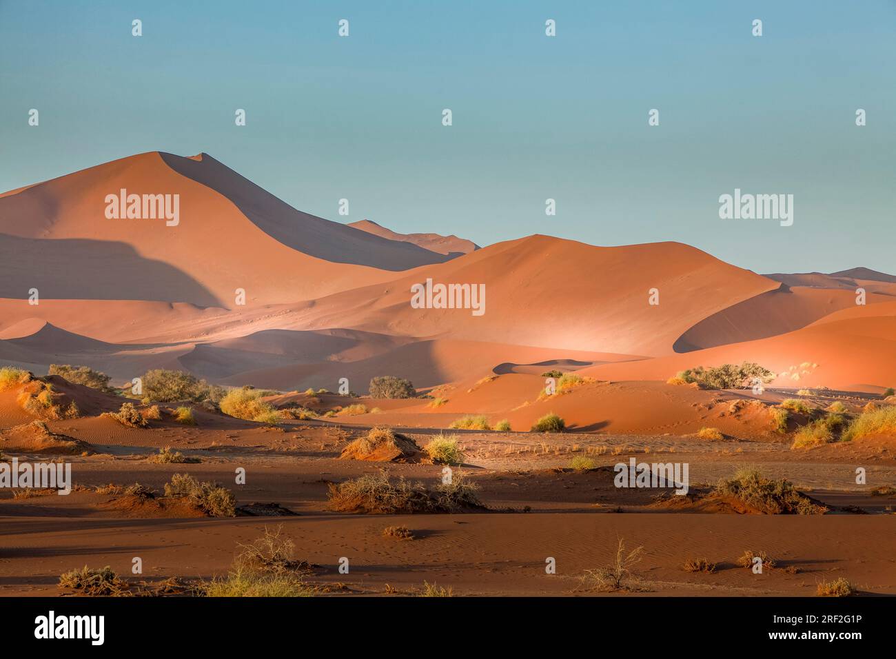 Big Dapt Dune, Namib Naukluft Park, Namibia Stockfoto