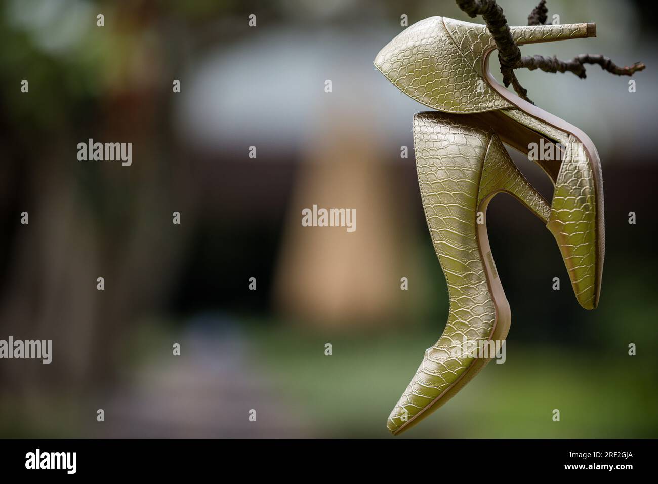 Braut wunderschöne atemberaubende Schuhe Hochzeit Stockfoto