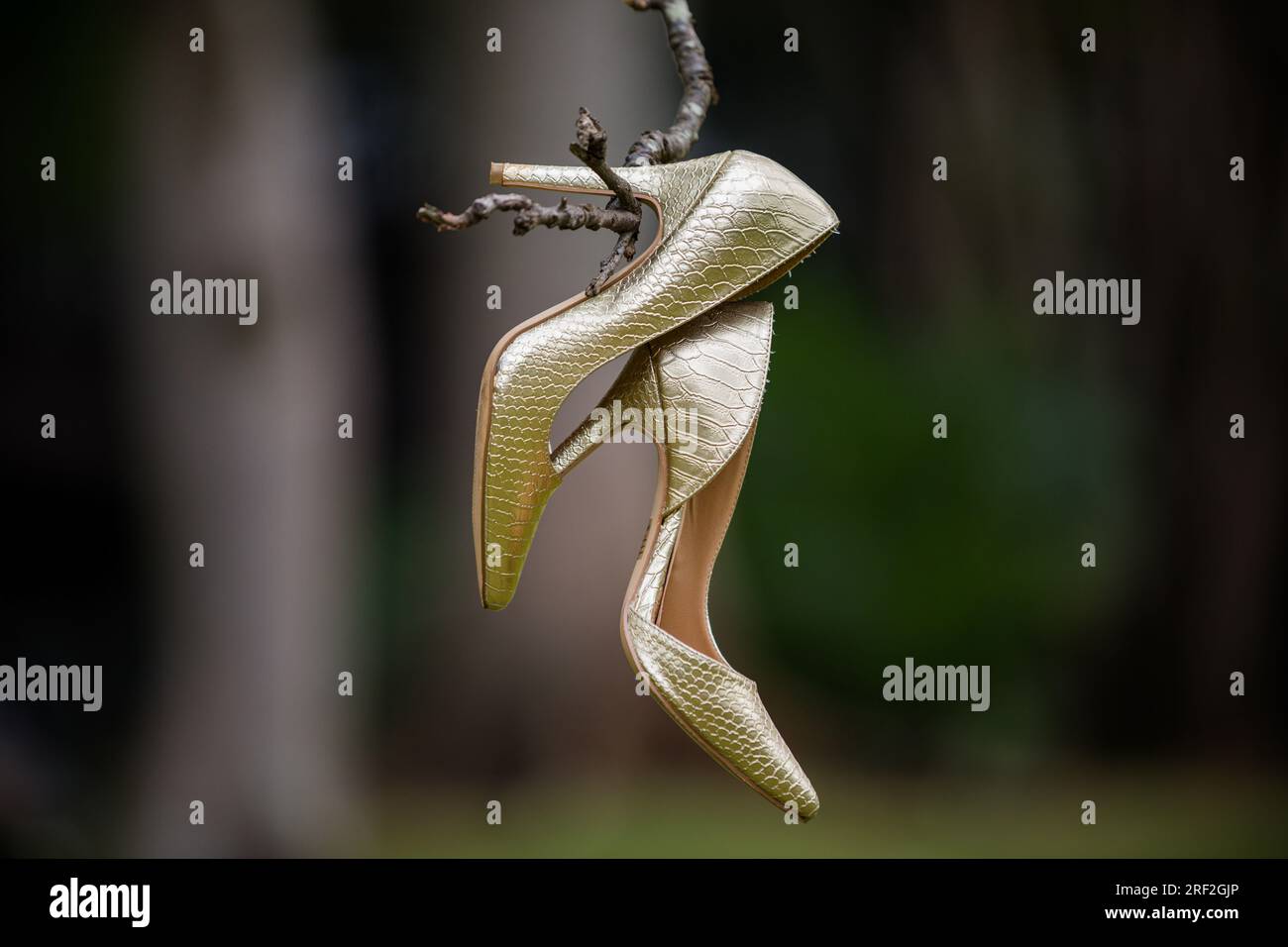 Braut wunderschöne atemberaubende Schuhe Hochzeit Stockfoto