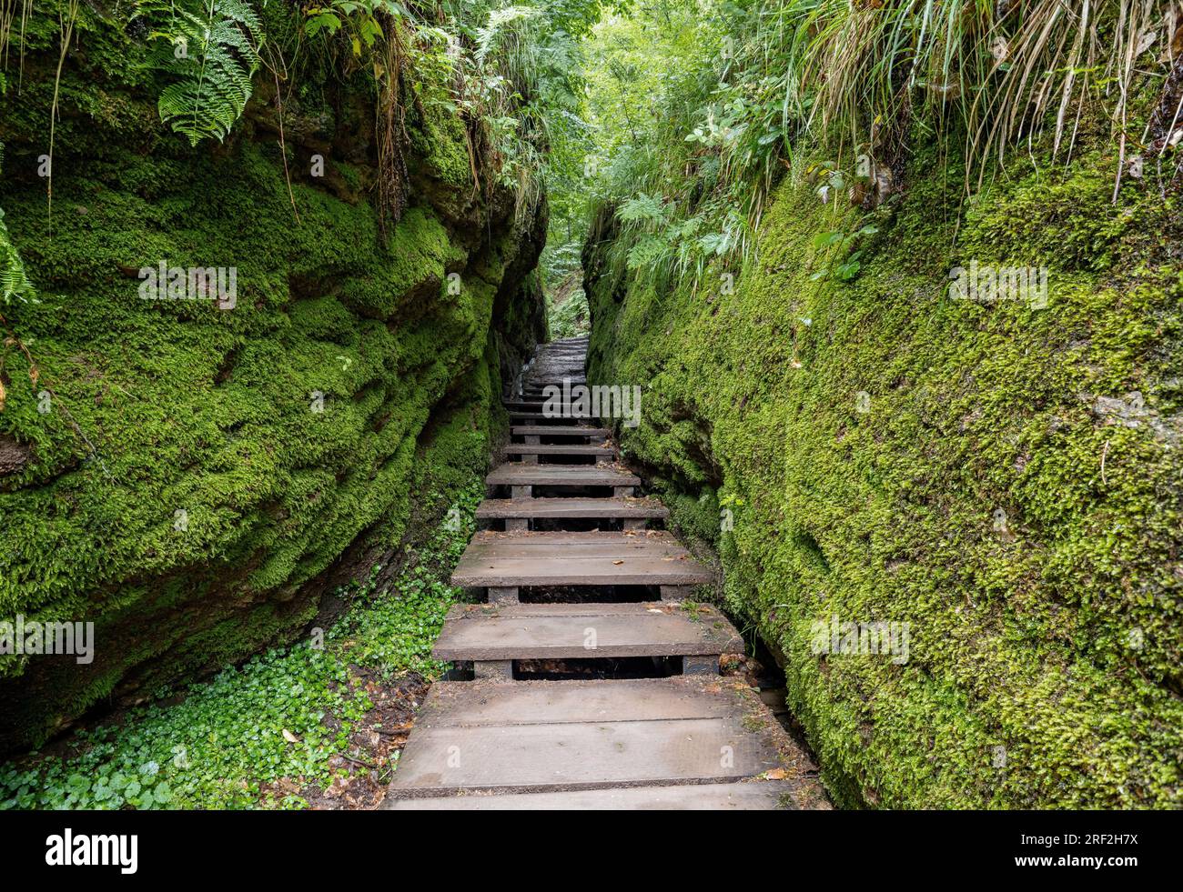 canyon Drachenschlucht im Thüringer Wald, Deutschland, Thüringen, NSG Waelder mit Schluchten zwischen Wartburg und hohe Sonne, Eisenach Stockfoto