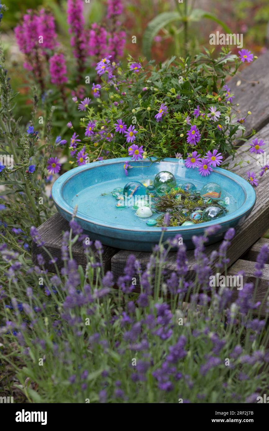 Trinkschüssel für Garteninsekten mit Glasmarmor und Moos, um das Ertrinken zu verhindern Stockfoto