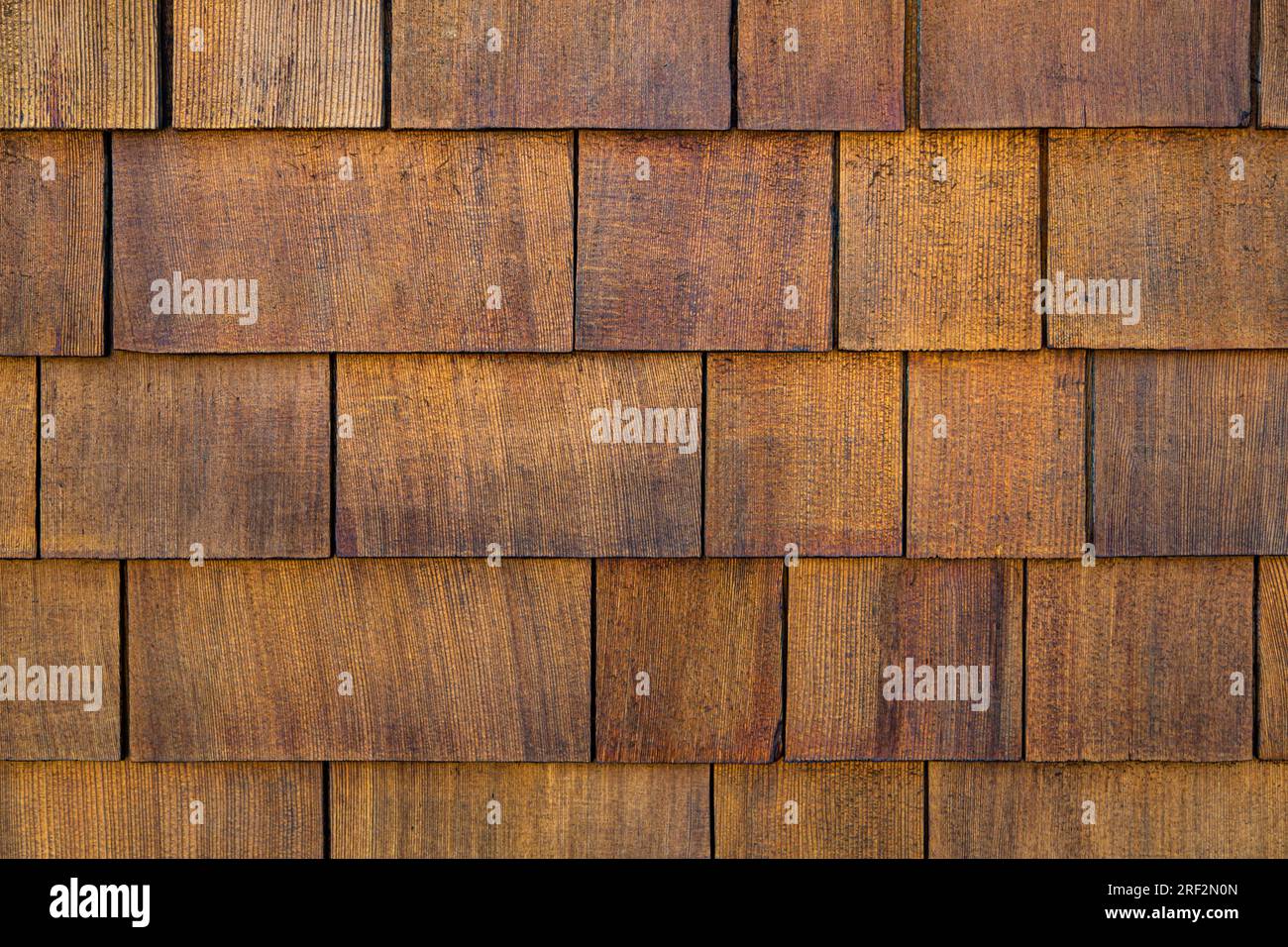 Nahaufnahme der Holzstruktur und des Hintergrunds. Abstellgleis aus Zedernschindel. Raue holprige Schindelverkleidung aus Holz, Reihe aus Holzmaterial mit kleiner Schindelwand. Holz Wand schütteln, Nahaufnahme Textur Stockfoto