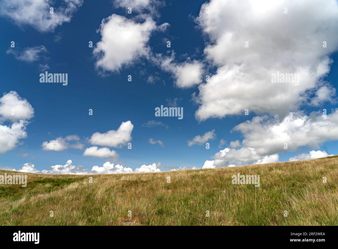 Landschaft im Dartmoor, Devon, England, Großbritannien, Europa | Dartmoor Landscape , Devon, England, Vereinigtes Königreich Großbritannien, Europa Stockfoto