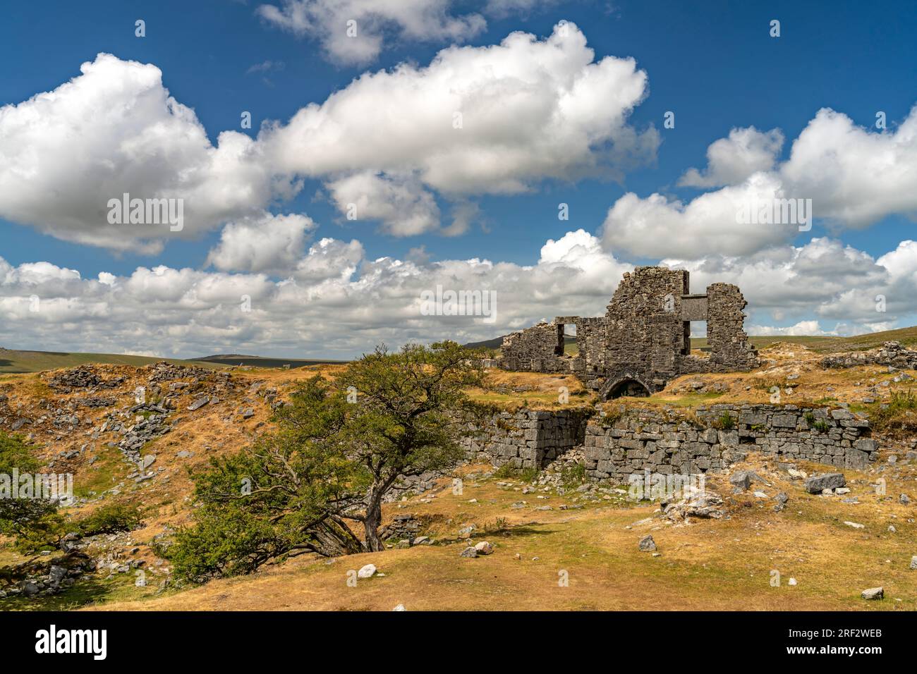 Ruine im Dartmoor, Devon, England, Großbritannien, Europa | Dartmoor Landschaft with Ruin, Devon, England, Vereinigtes Königreich Großbritannien, Europa Stockfoto