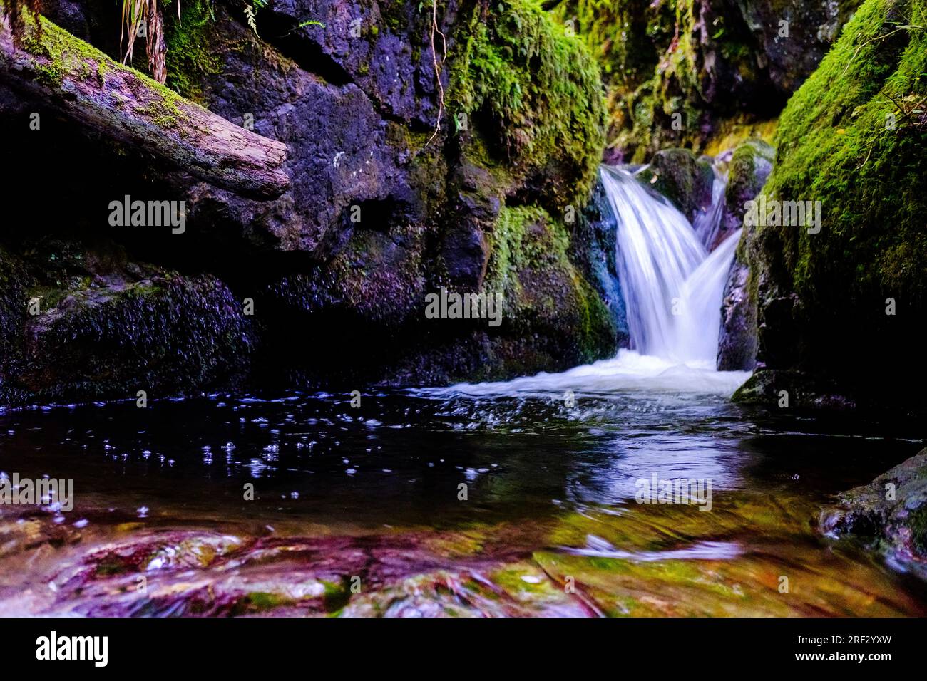 Slow-Shutter-Foto zur Aufnahme der Bewegung eines kleinen Wasserfalls in Dollar Glen mit moosbedeckten Felsen und Farn Stockfoto