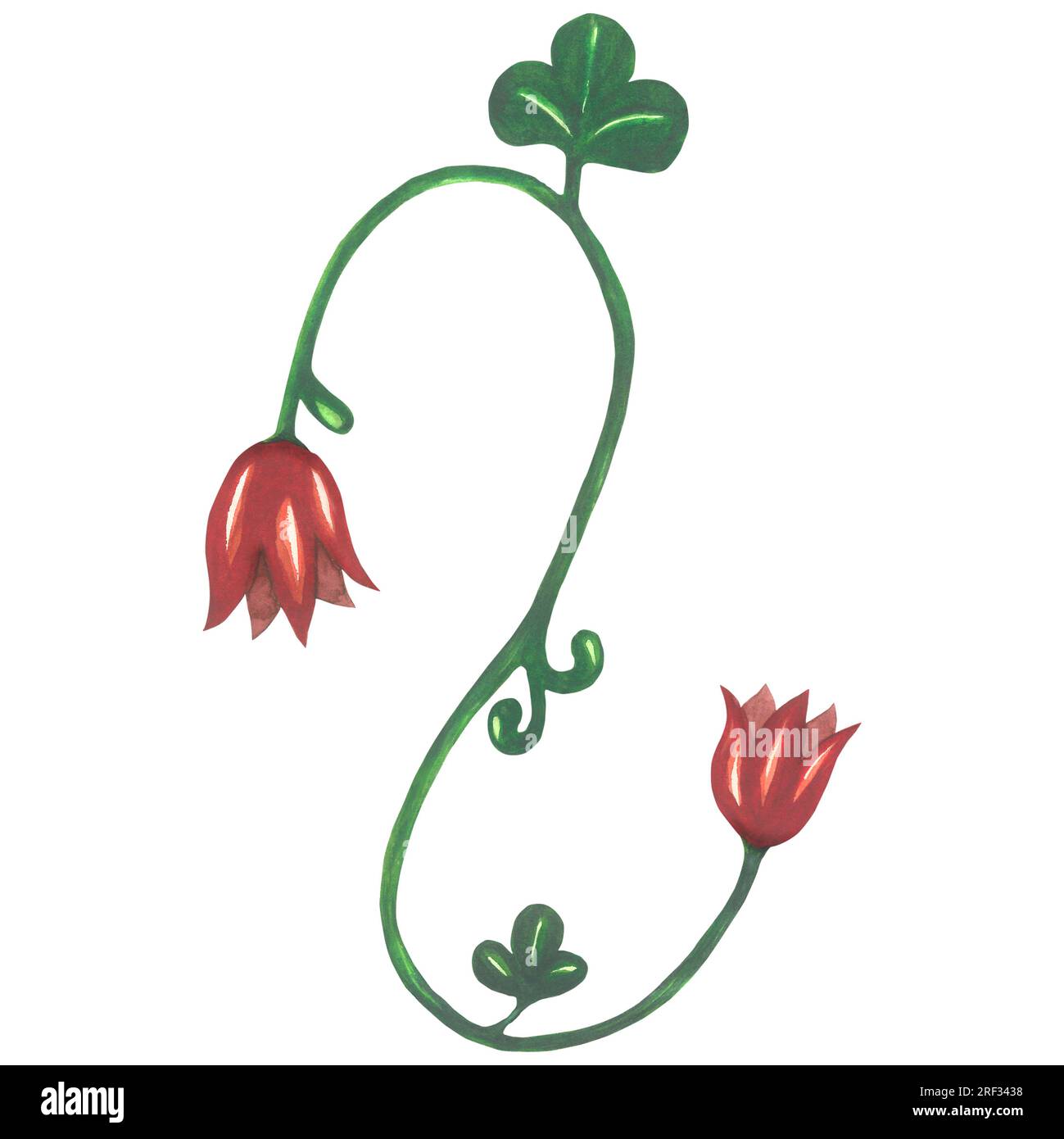 Aquarell-Darstellung eines roten Blumenmonogramms im mittelalterlichen Stil. Von Hand isoliert auf weißem Hintergrund Stockfoto