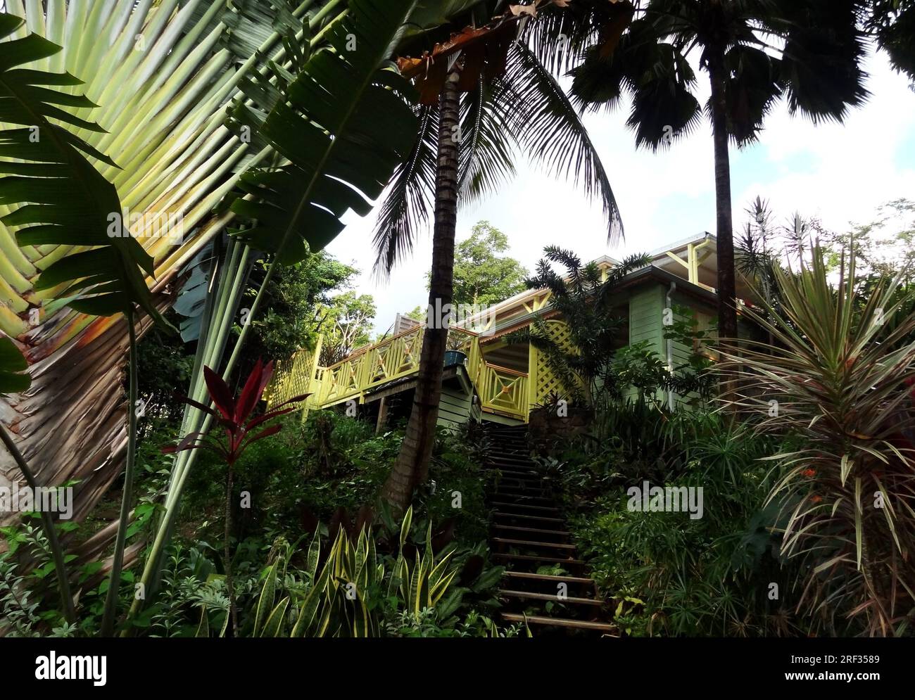 karibische Landschaft einschließlich eines Hauses in tropischer Vegetation Stockfoto