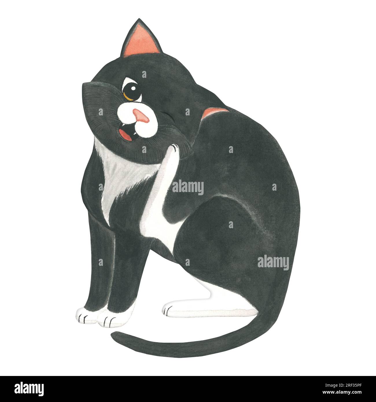 Aquarell-Darstellung einer schwarzen Katze, die mit ihrer hinteren Pfote juckt. Von Hand isoliert auf weißem Hintergrund Stockfoto