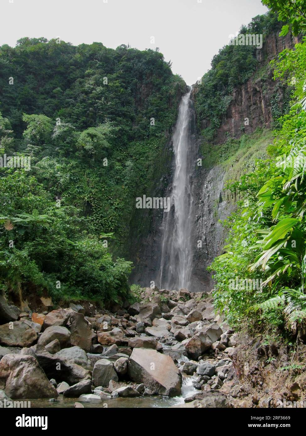 ein Wasserfall in der üppigen Vegetation auf einer karibischen Insel namens Guadeloupe Stockfoto