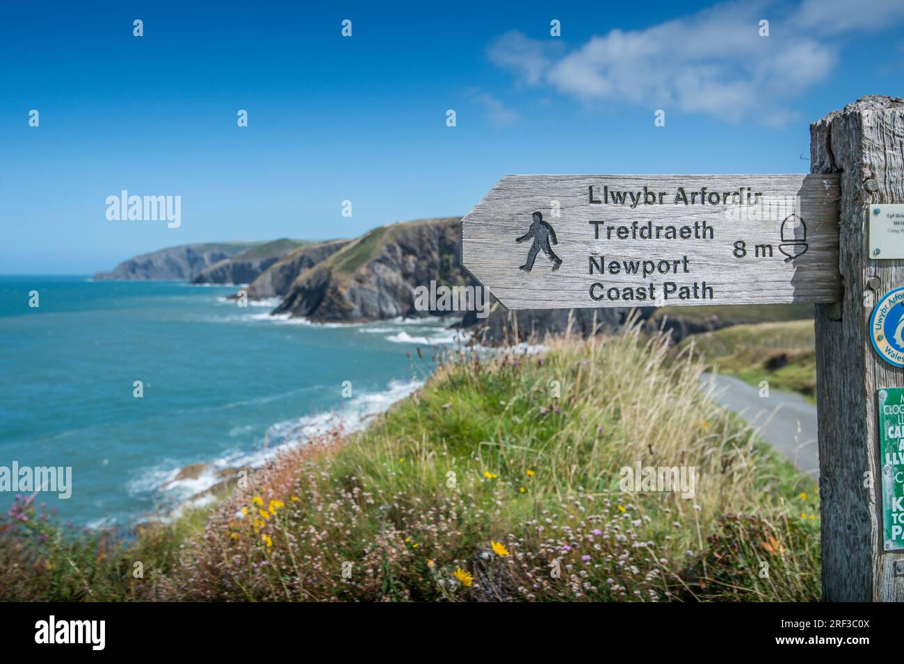 Pembrokeshire Coast Pfad in der Nähe von St Davids, pembrokeshire Nationalpark Stockfoto