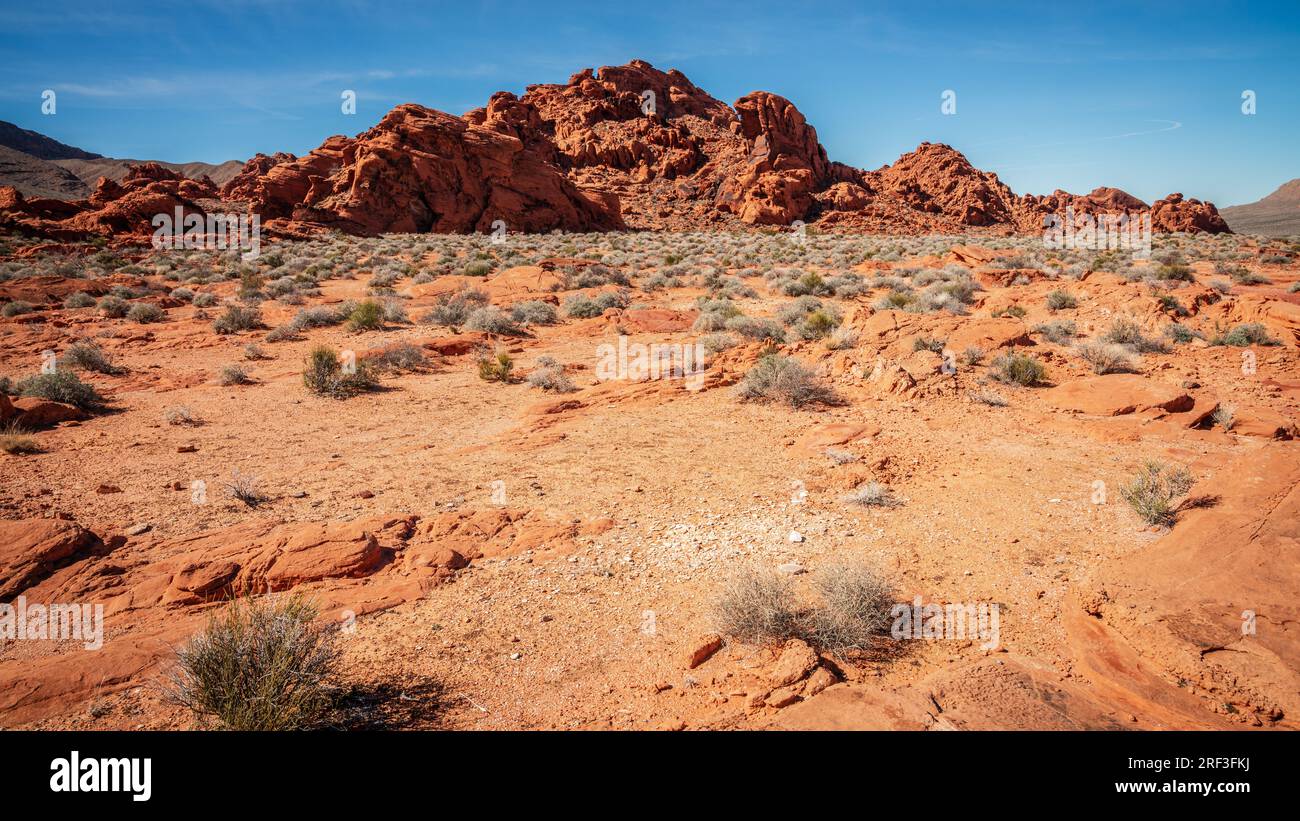 Wüstenlandschaft im Valley of Fire State Park in Nevada Stockfoto