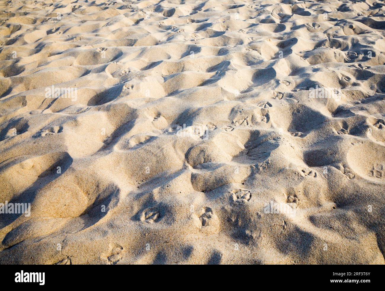 Nahaufnahme von Sand und Erde, eine echte Nahaufnahme eines Teils der Erdkruste, gewöhnlicher brauner Boden auf einem Feld Stockfoto