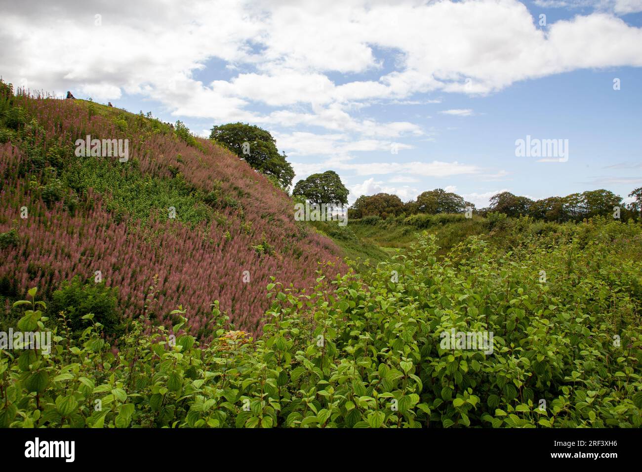 Old Sarum, der verlassene Ort der ersten Siedlung von Salisbury Stockfoto