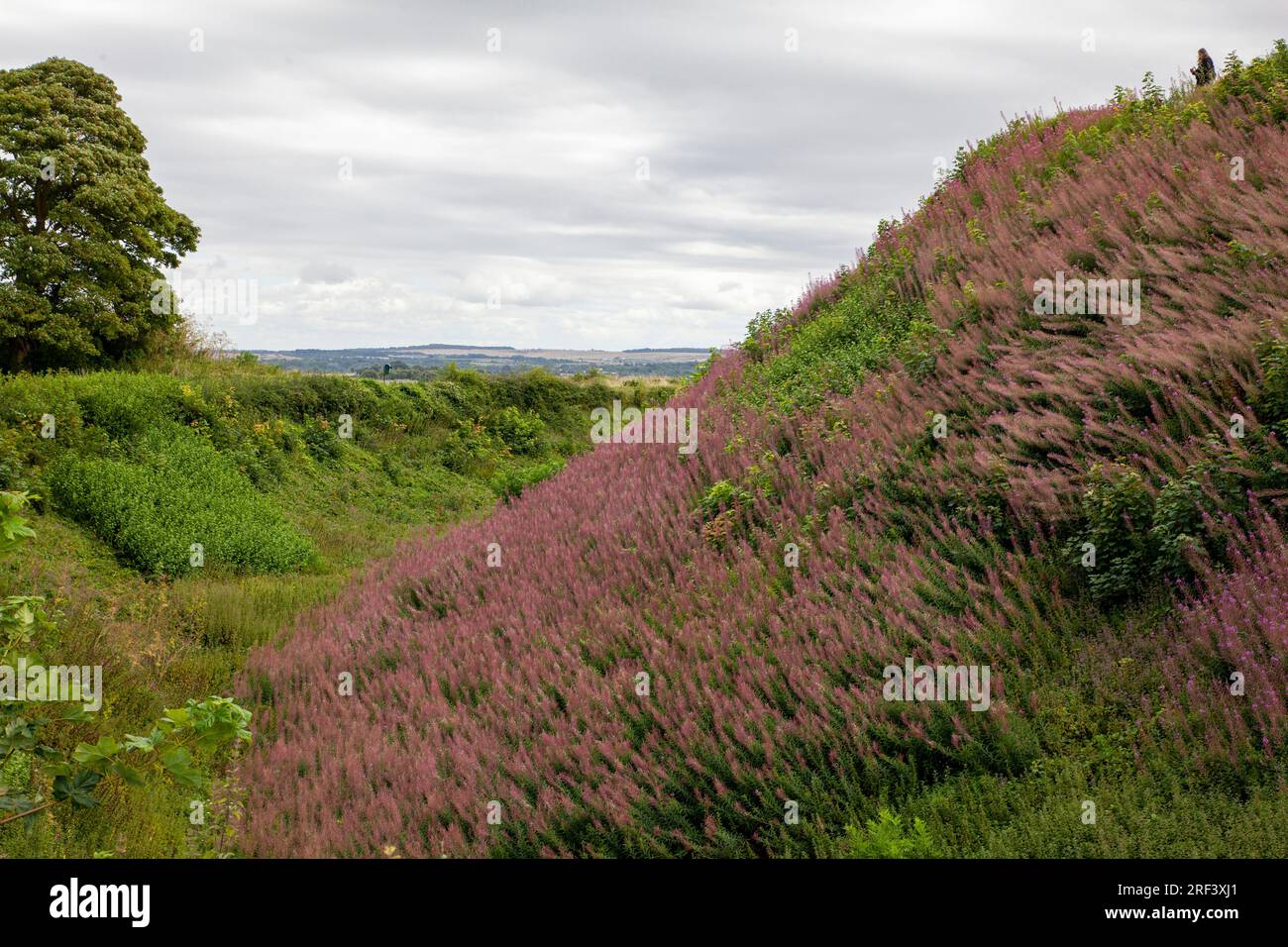 Old Sarum, der verlassene Ort der ersten Siedlung von Salisbury Stockfoto