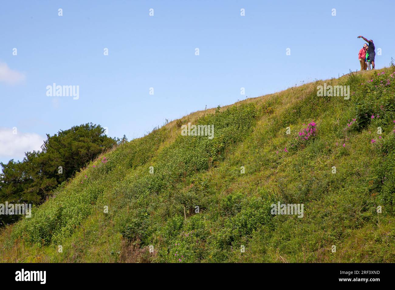 Old Sarum, der verlassene Ort der ersten Siedlung von Salisbury Stockfoto