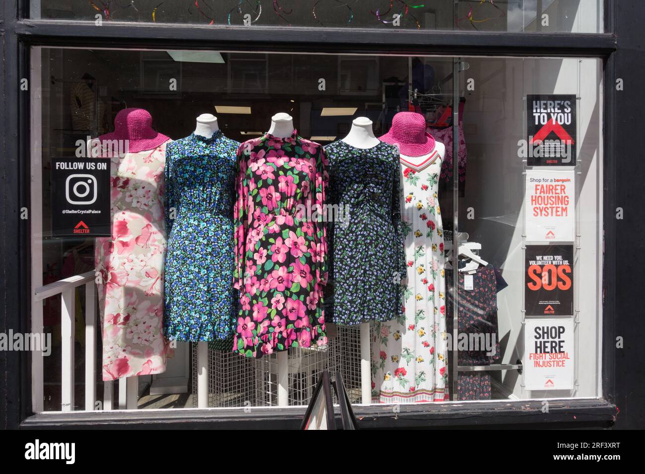 Fenster des Shelter-Charity-Shops in Crystal Palace, Westow Hill, Norwood, London, SE19, England, Großbritannien Stockfoto