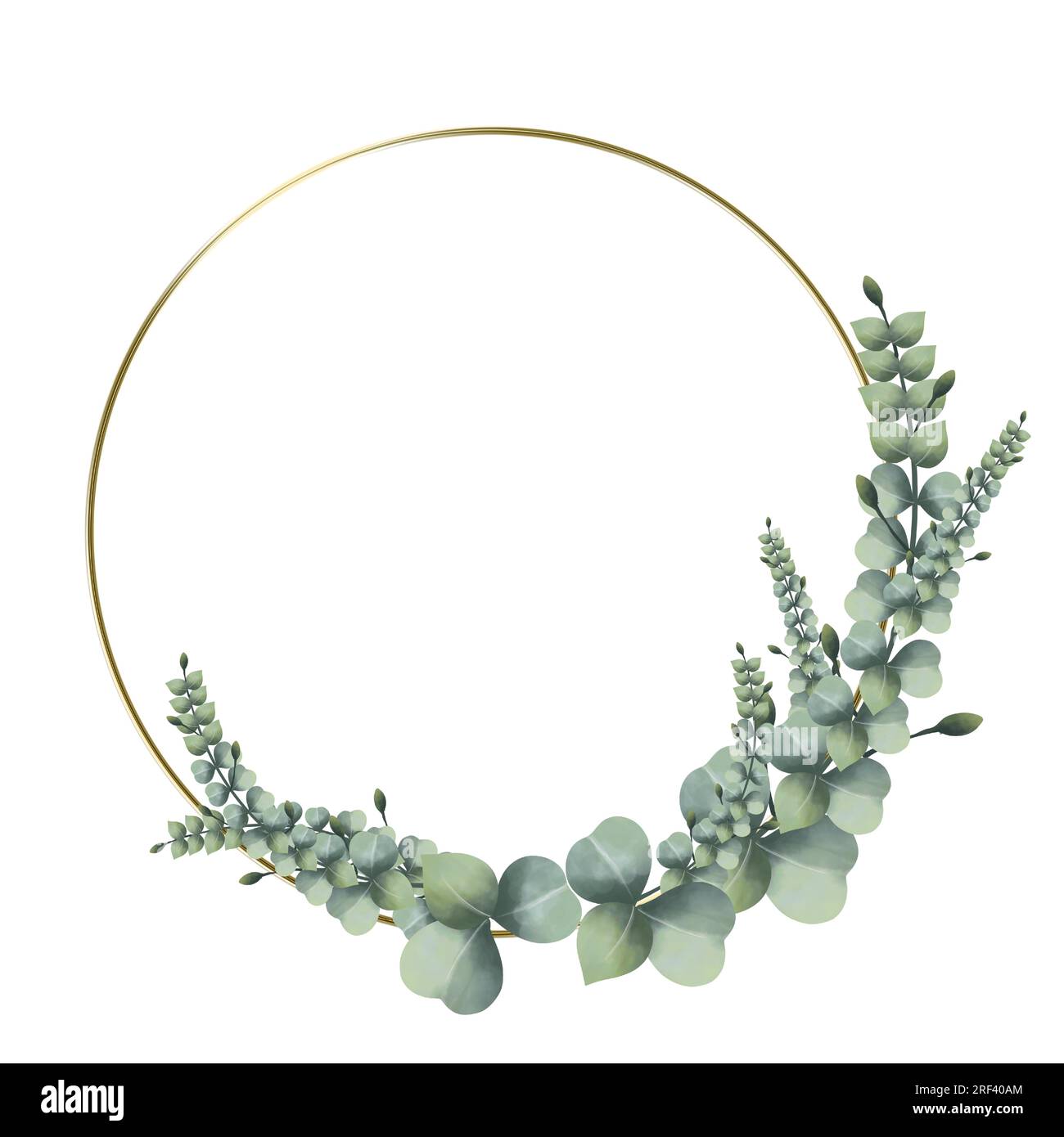Blattdesign mit klassischem, wasserfarbenem Kreisrahmen und goldenen, handgezeichneten Strichen auf weißem Hintergrund isolieren Stock Vektor