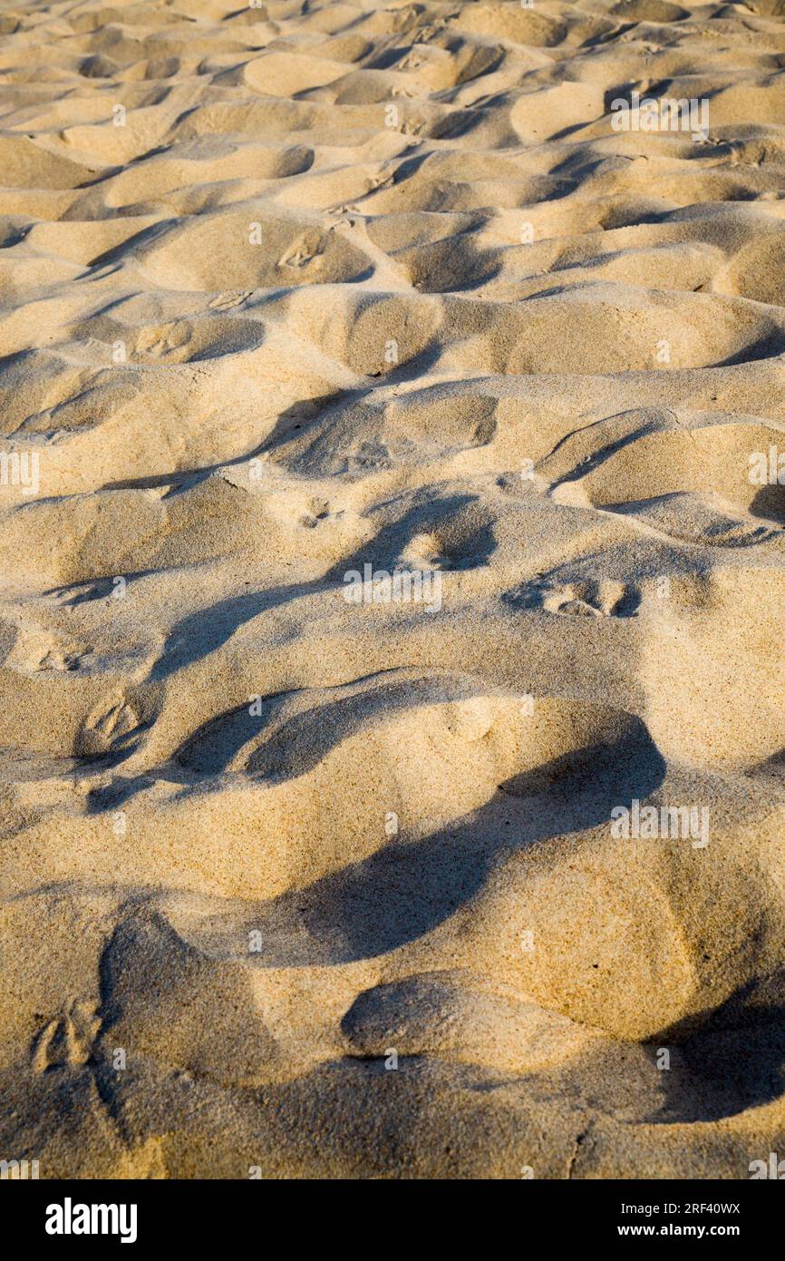 Nahaufnahme von Sand und Erde, eine echte Nahaufnahme eines Teils der Erdkruste, gewöhnlicher brauner Boden auf einem Feld Stockfoto
