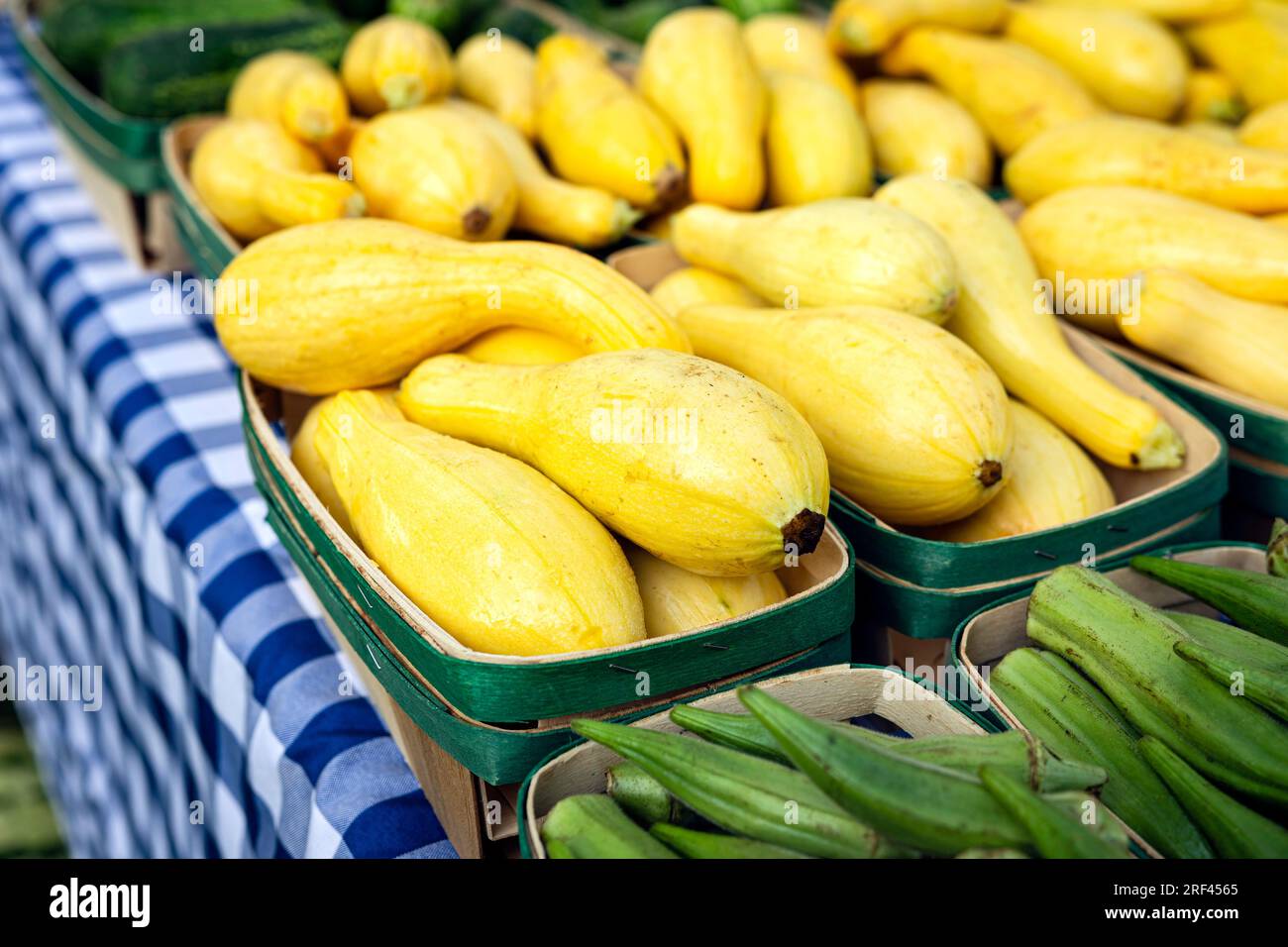 Gemüse wird auf einem lokalen Bauernmarkt mit Schwerpunkt auf gelbem Crookneck Squash ausgestellt. Stockfoto