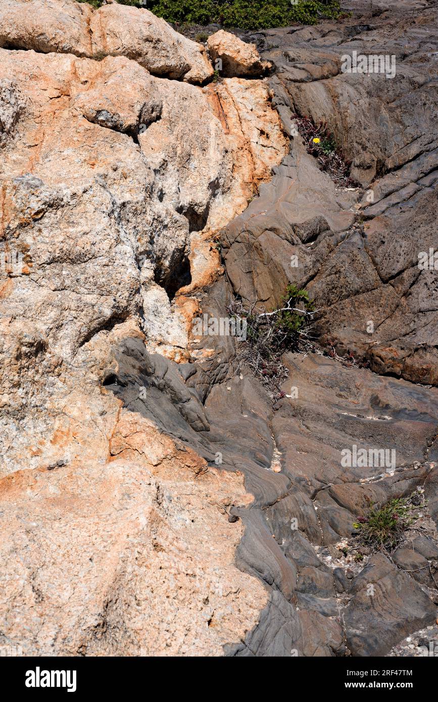 Kontakt zwischen Pegmatite Deich (links) und Schist (rechts). Pegmatite ist ein magneöser, aufdringlicher Stein aus Quarz, Feldspat und Glimmer. Schist ist wie ich Stockfoto