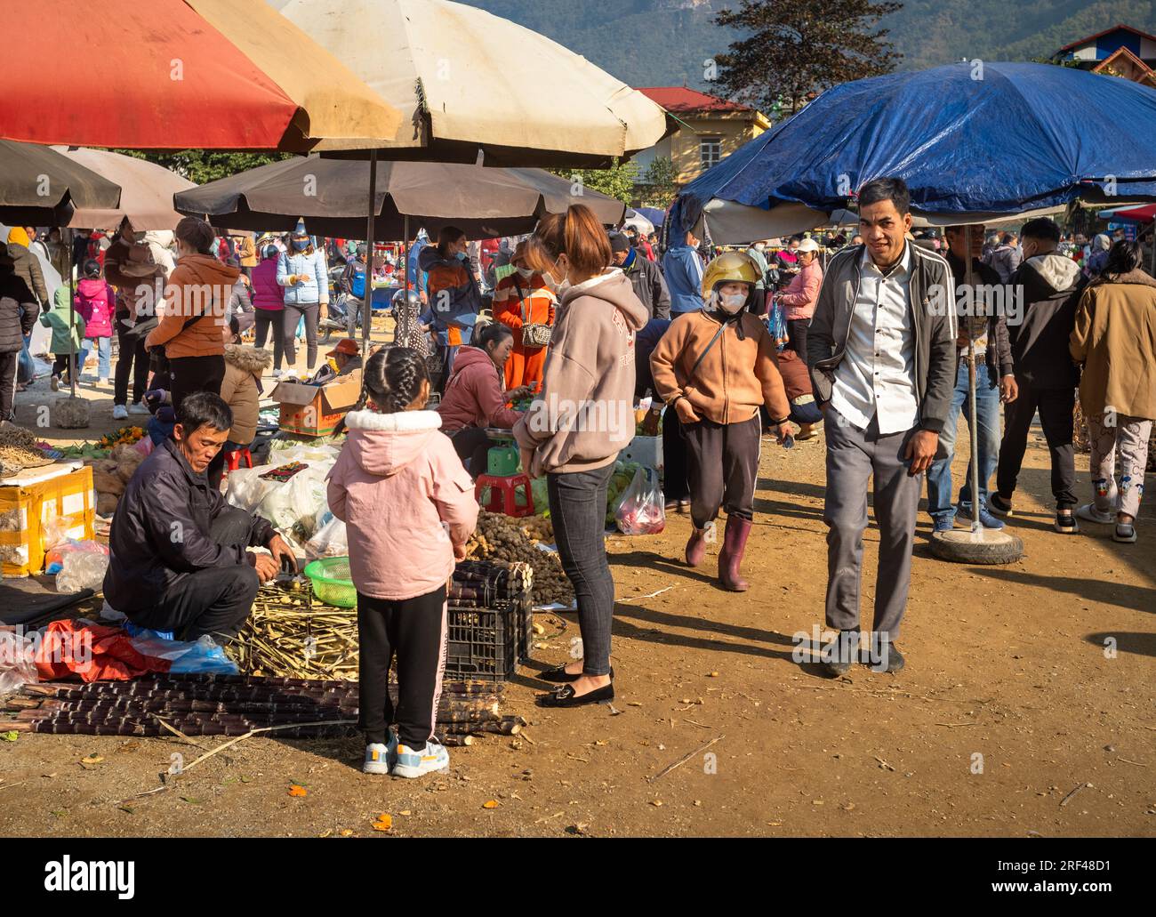 Weiße thailändische Angehörige ethnischer Minderheiten kaufen auf einem offenen Markt in Mai Chau, Provinz Hoa Binh, Vietnam ein. Stockfoto