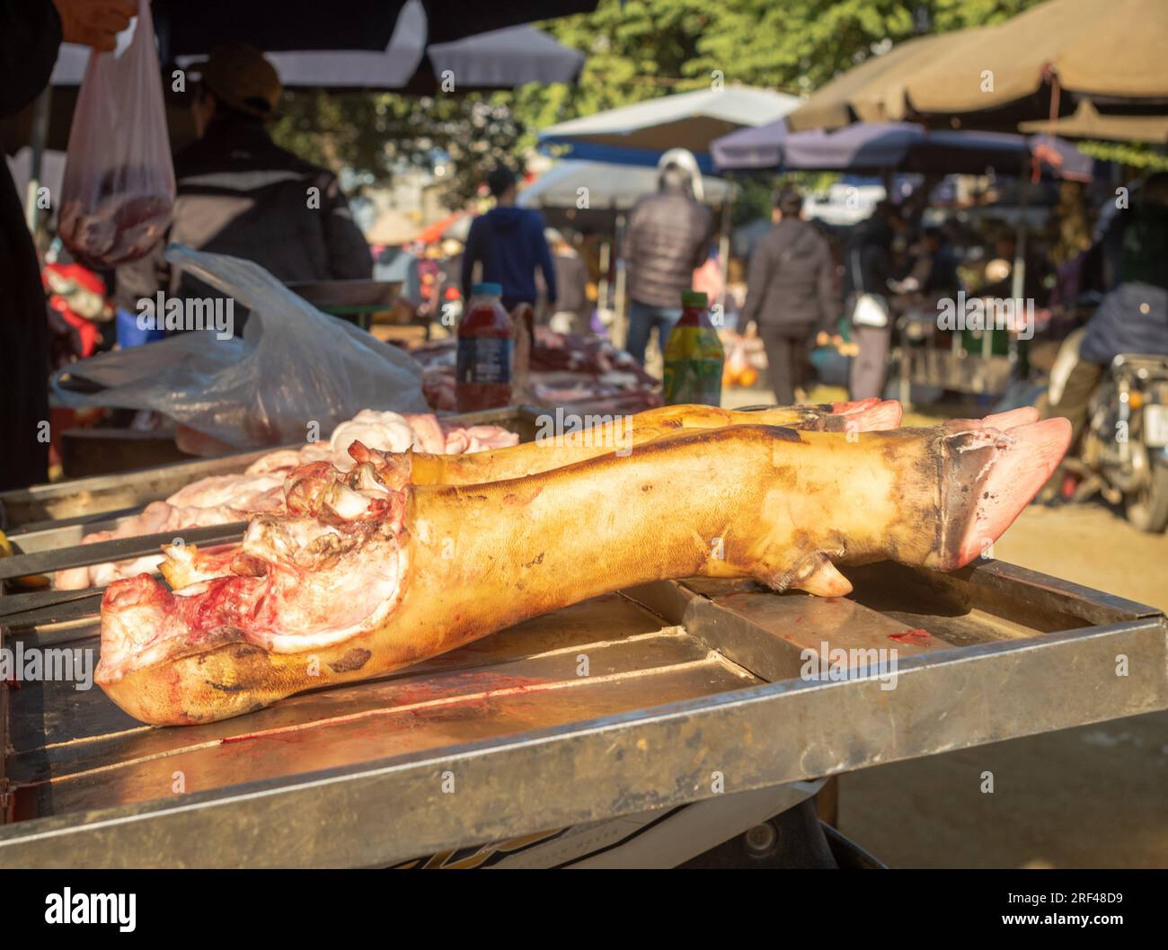 Vorderbeine oder Trabrenner von frisch geschlachteten Schweinen, die auf einem Markt für ethnische Minderheiten in Mai Chau, Hoa Binh, Vietnam verkauft werden. Stockfoto