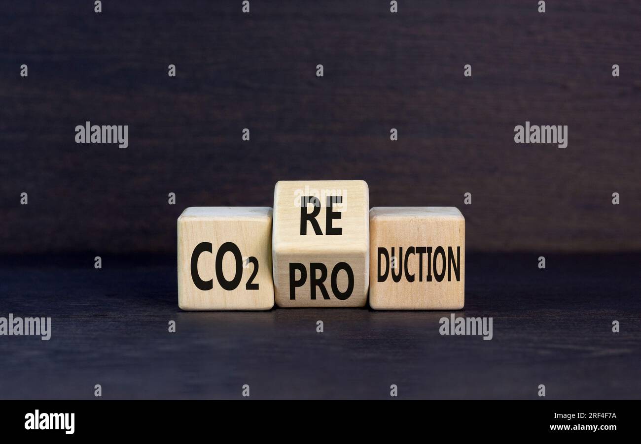 CO2 Symbol für Produktion oder Reduzierung. Konzeptwort CO2 Produktionsreduktion auf einem Holzblock auf einem wunderschönen grauen Tischhintergrund. Business ecologi Stockfoto