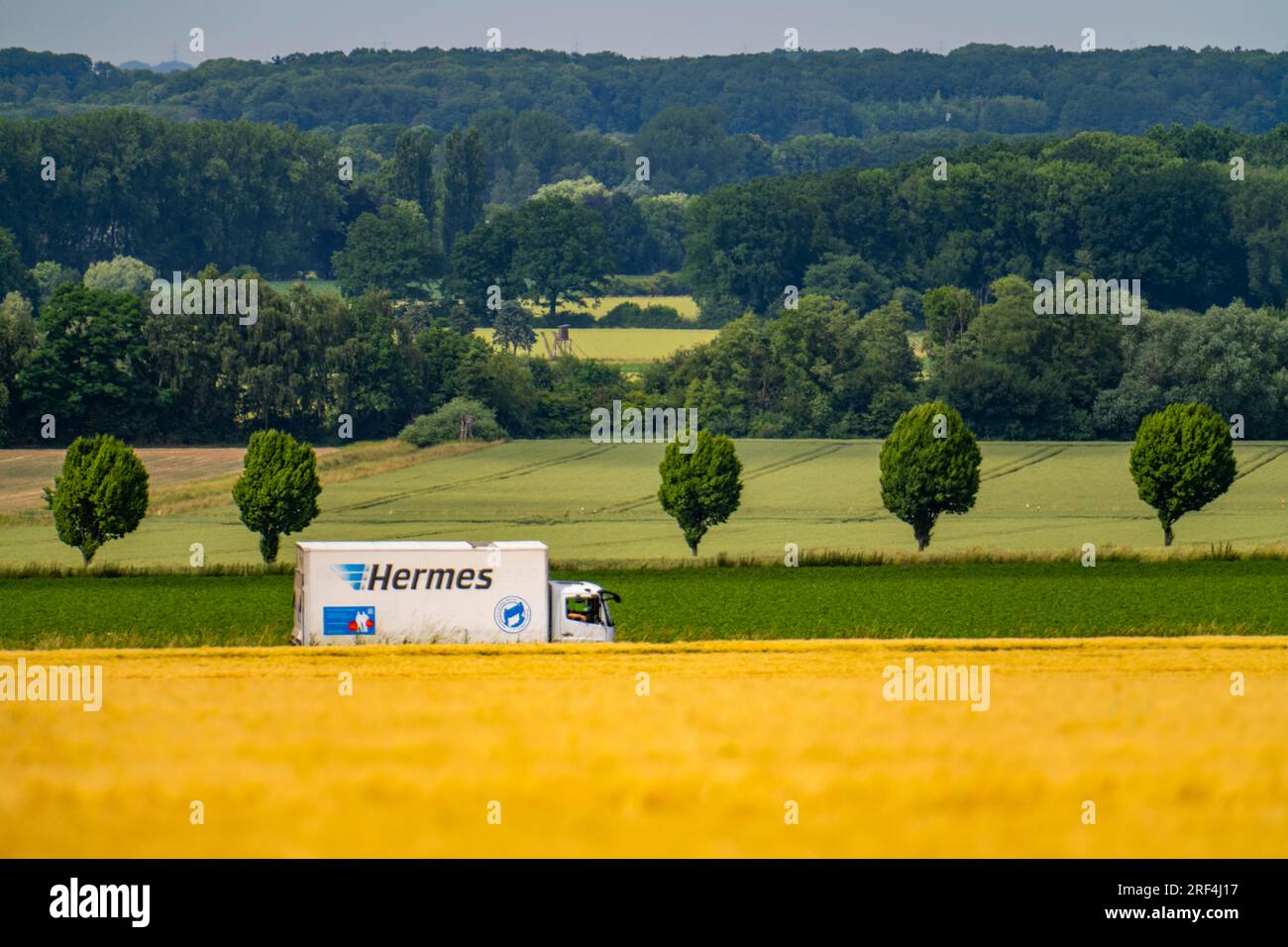 Bundesstraße 1, Werler Straße, Felder, Wald- und Getreidefelder östlich von Unna, in der Nähe des Dorfes Hemmerde, NRW, Deutschland, Stockfoto