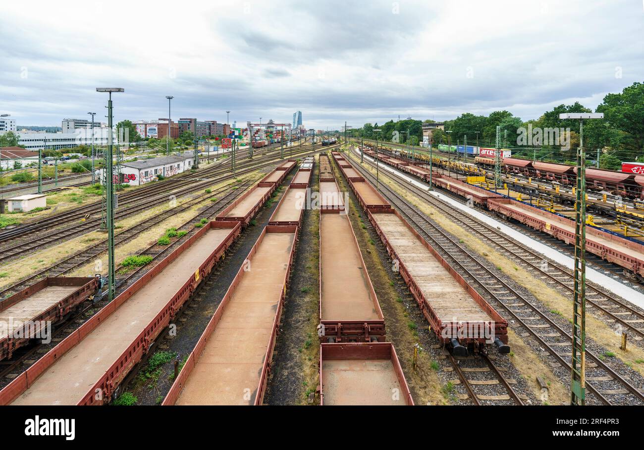 31. Juli 2023, Hessen, Frankfurt/Main: Güterwagen werden auf dem Gelände des Bahnhofs Frankfurt (Main) Ost abgestellt. Die Deutsche Umschlaggesellschaft Schiene-Straße (DUSS) befindet sich ebenfalls auf dem Gelände des Bahnhofs Frankfurt (Main) Ost und hat nach Angaben des Betreibers durchschnittlich 70.000 Container pro Monat (ca. 2.300 Container pro Tag). Foto: Andreas Arnold/dpa Stockfoto