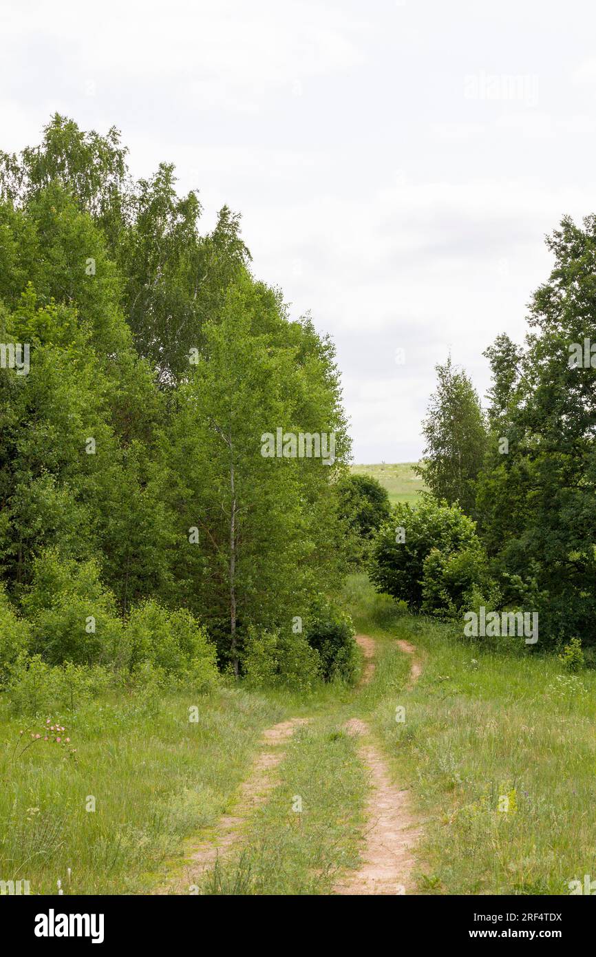 Unbefestigte Straße im Sommer liegt ein Teil der Straße außerhalb der Rennstrecke, die Autos verlassen haben Stockfoto