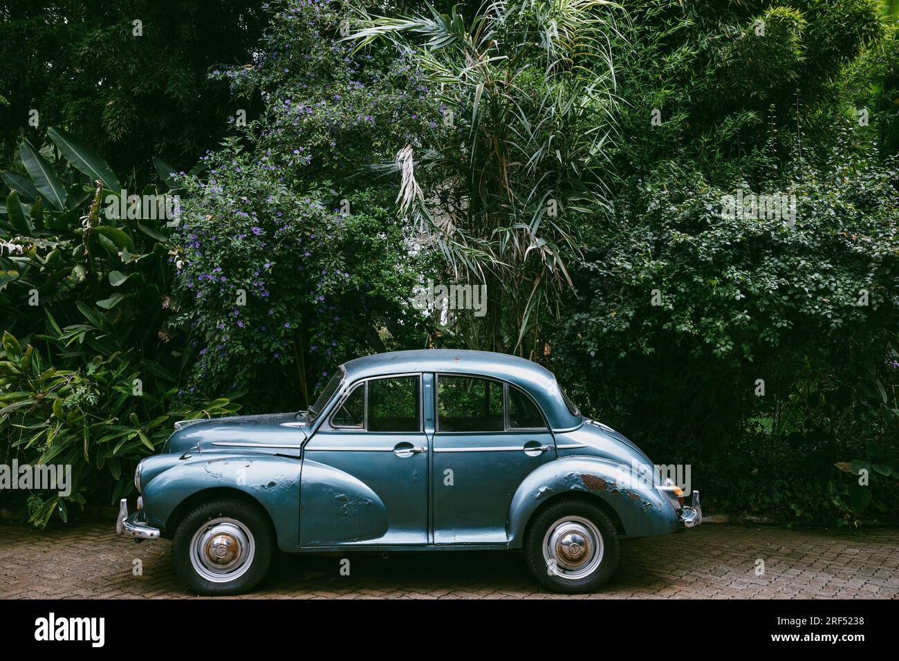 Volkswagen Beetle Car Iconic Vintage Old Shaped Parkt Draußen In Nairobi City County Kenia Ostafrika Stockfoto