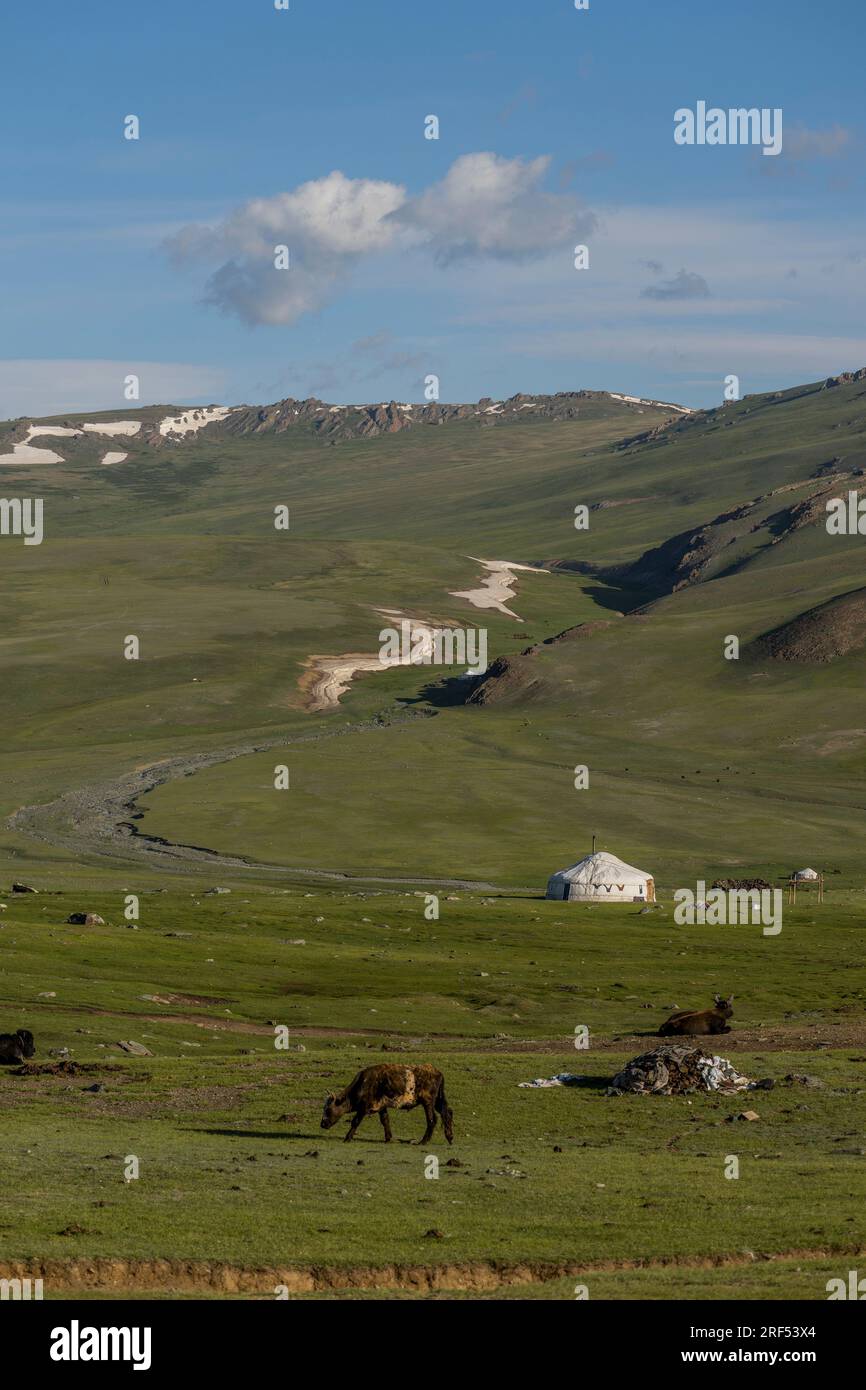 Ein Hirte in einem abgelegenen Tal im Altai-Gebirge (Altay-Gebirge) in der Nähe von Altai Sum, etwa 200 Kilometer von Ulgii (Ölgii) im Bayan-Ulgi entfernt Stockfoto