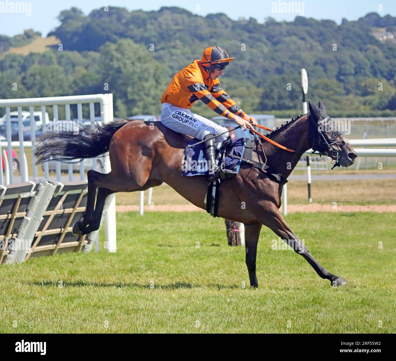 Pferderennen bei Newton Abbot Stockfoto