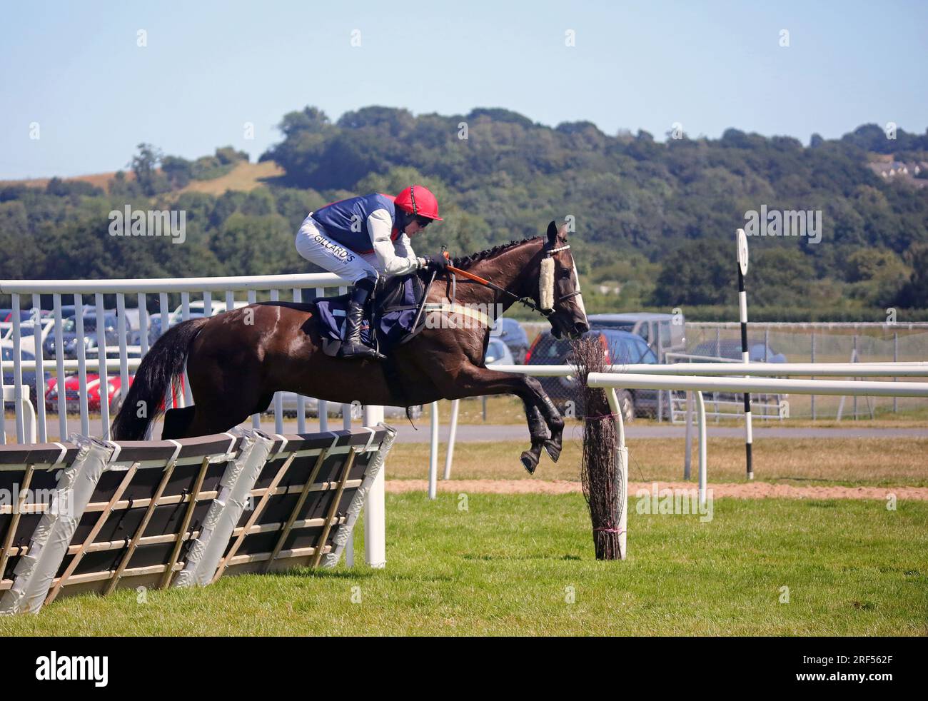 Pferderennen bei Newton Abbot Stockfoto