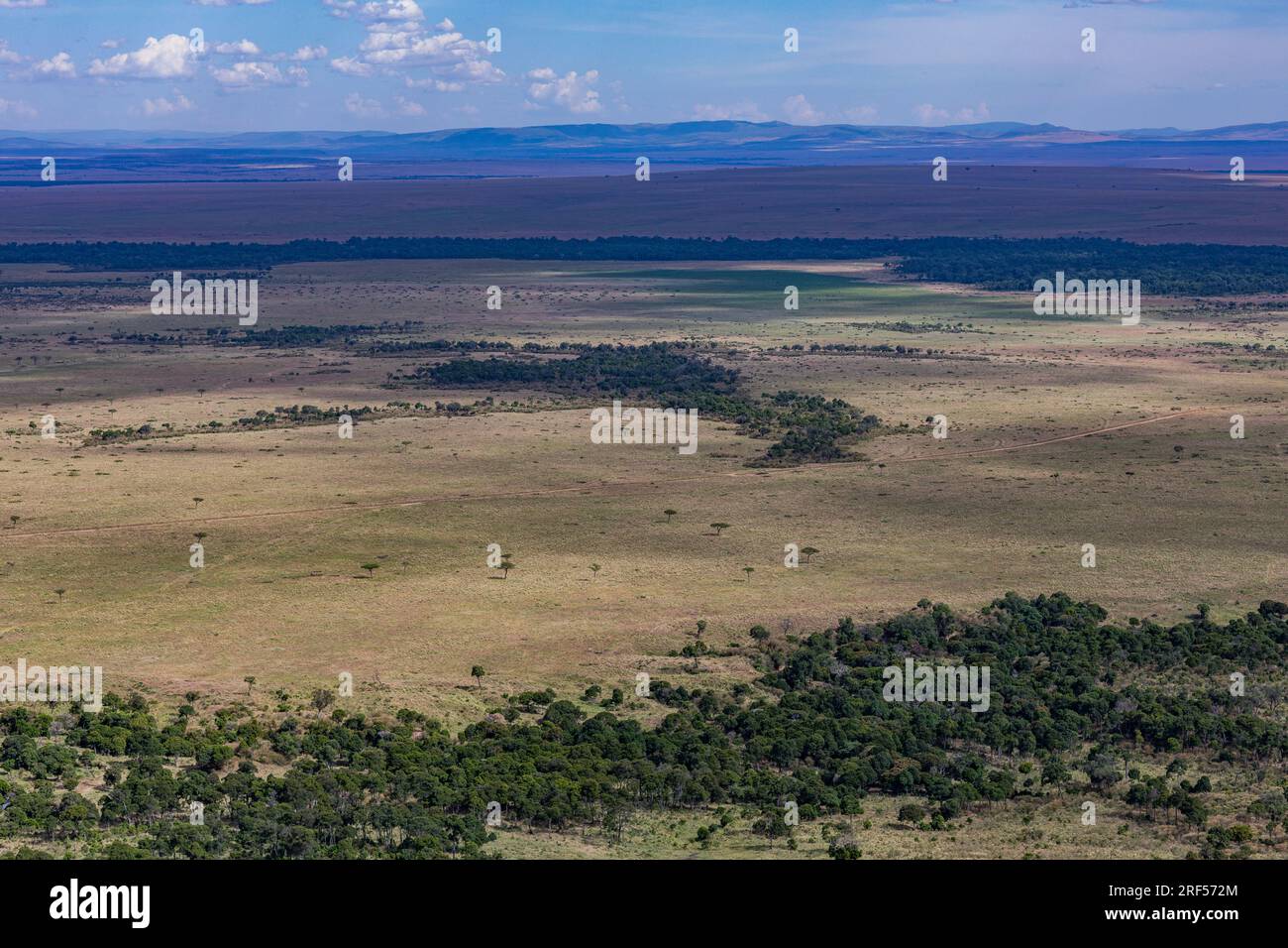 Kenianische Landschaften In Angama Mara Maasai Mara National Game Reserve Park Great Rift Valley Narok County Kenia Ostafrika Reist Afrika Dokumentarfilm Ex Stockfoto