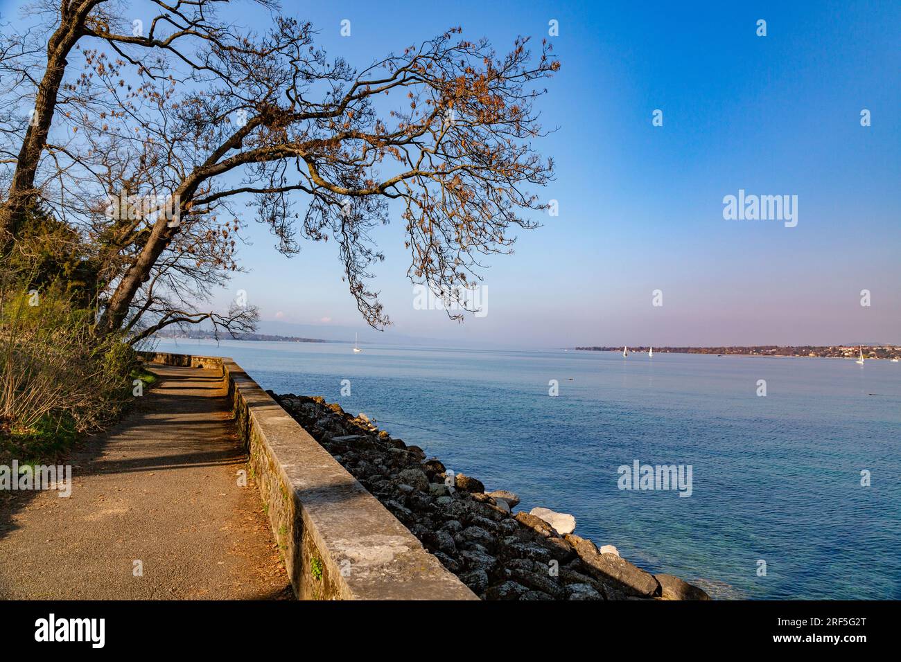 Malerischer Blick vom Genfer See an der Bucht von Genf, dem französischen Teil der Schweiz. Stockfoto