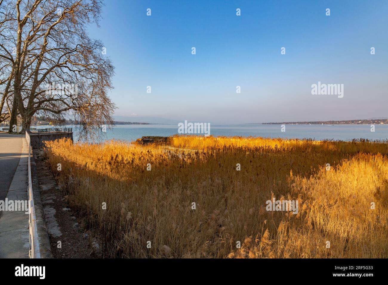 Malerischer Blick vom Genfer See an der Bucht von Genf, dem französischen Teil der Schweiz. Stockfoto