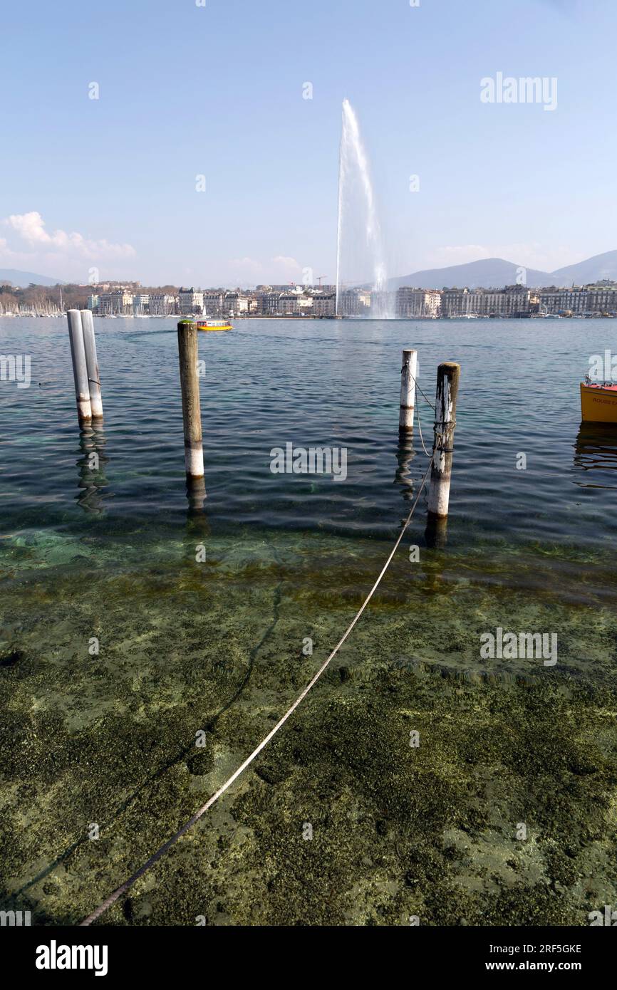 Genf, Schweiz - 25. März 2022: Der Jet d'Eau ist ein großer Brunnen in Genf, Schweiz und eines der berühmtesten Wahrzeichen der Stadt. Stockfoto