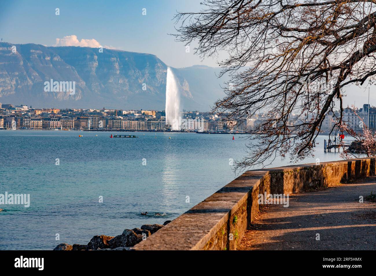 Genf, Schweiz - 25. März 2022: Malerischer Blick vom Genfer See an der Bucht von Genf, dem französischen Teil der Schweiz. Stockfoto