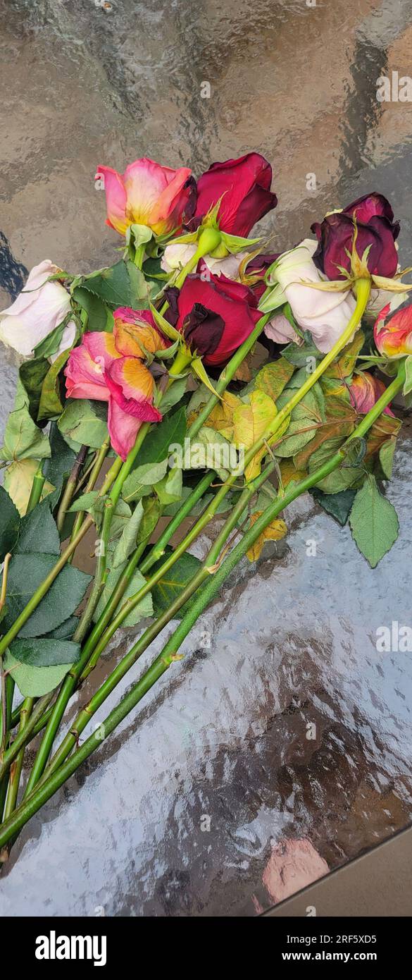 Die Überreste eines wunderschönen Straußes aus roten, rosa und weißen Rosen liegen auf einem gläsernen Terrassentisch, der dem Hintergrund einen Bokeh-Effekt verleiht. Stockfoto
