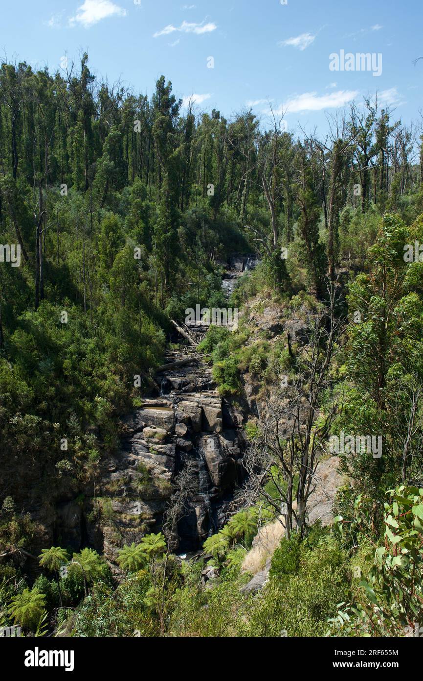 Nach den Bränden von 2009 haben sich im Kinglake National Park in Victoria, Australien, viele Ausblicke eröffnet. Dieser felsige Bach war früher in den Bäumen versteckt. Stockfoto