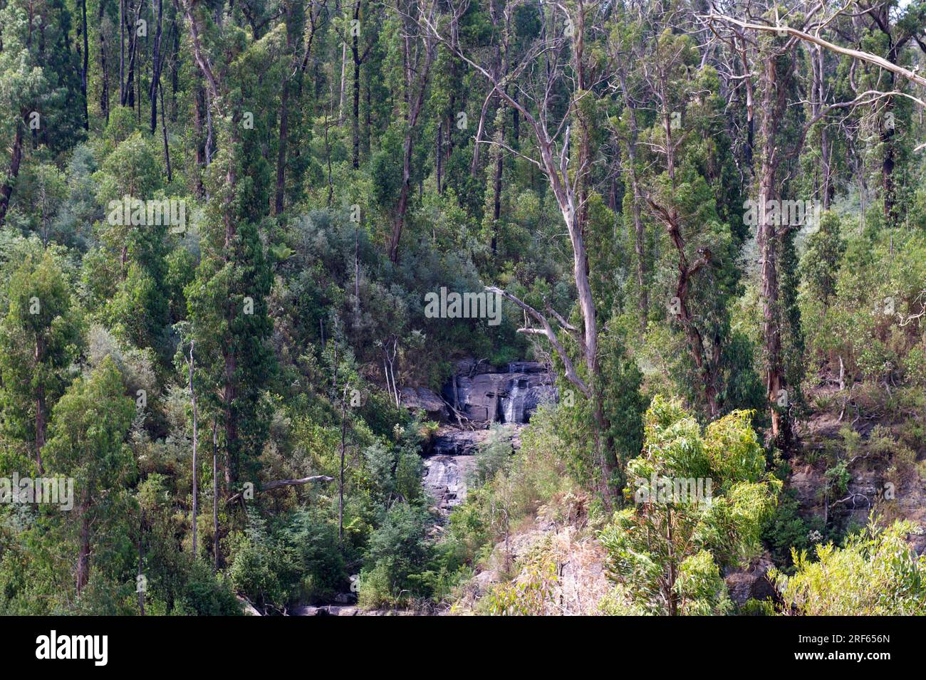 Nach den Bränden von 2009 haben sich im Kinglake National Park in Victoria, Australien, viele Ausblicke eröffnet. Dieser felsige Bach war früher in den Bäumen versteckt. Stockfoto