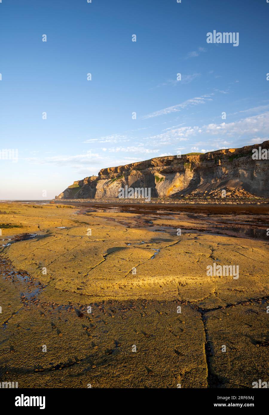 Felsformationen des Shield Reef in Saltwick Bay bei Whitby Stockfoto