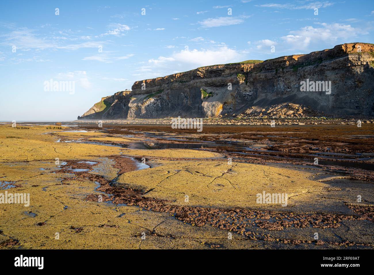 Schildriffs Felsformationen in Saltwick Bay, bei Whitby Stockfoto