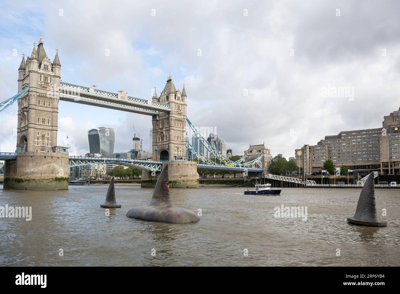 London, Großbritannien. 1. August 2023. Drei riesige Megalodon-Haifischflossen scheinen sich in der Nähe der Tower Bridge an die Oberfläche der Themse zu erheben, um die Freigabe der Warner Bros. In Großbritannien am 4. August zu fördern Filmfilm „Meg 2: The Trench“ mit Jason Statham. Laut dem Naturkundemuseum war die prähistorische Art, bekannt als Otodus megalodon, der größte Hai der Welt und einer der größten Fische, die es je gab. Kredit: Stephen Chung / Alamy Live News Stockfoto