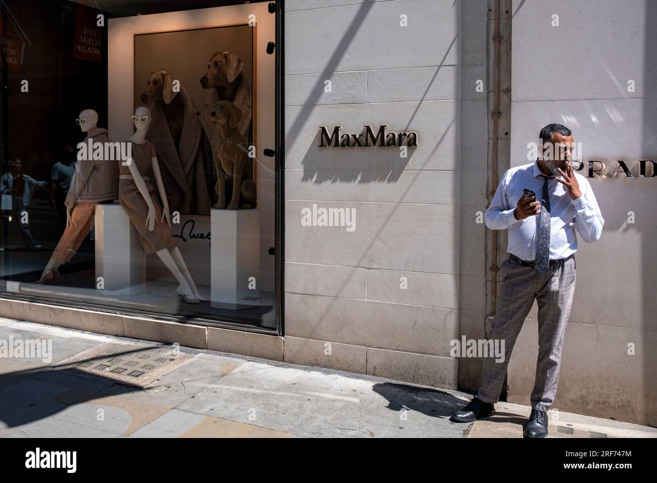 Max Mara Schaufenster, wo sie mit dem Künstler William Wegman zusammenarbeiten, der für seine Arbeit mit Weimaraner-Hunden in der Bond Street in der exklusiven Gegend von Mayfair am 7. Juli 2023 in London, Großbritannien, bekannt ist. Traditionell wohlhabende Teile von West London haben sich zu wohlhabenden Spielplätzen der Superreichen entwickelt, mit Zuströmen von ausländischem Geld, insbesondere aus dem Nahen Osten, Russland und China. Jüngsten Untersuchungen zufolge sind in der britischen Hauptstadt mehr Menschen mit hohem Nettowert und ultrahohem Nettowert als in jeder anderen Stadt der Welt zu Hause. Stockfoto